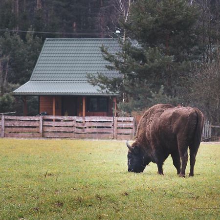Villa Leśna 21 Dom Północ przy ZALEW SIEMIANÓWKA Luka Exterior foto